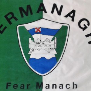 Fermanagh official gaa flag