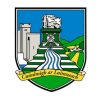 LIMERICK FLAG