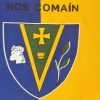 Roscommon Official GAA Flag