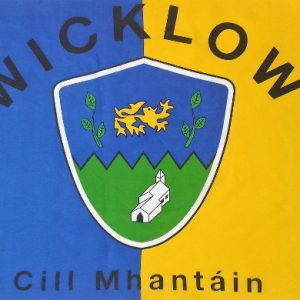 Wicklow GAA official Flag