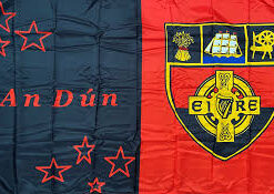 Down Official GAA Flag Buy Online Now